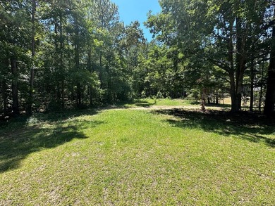 Lake Lot For Sale in Elloree, South Carolina