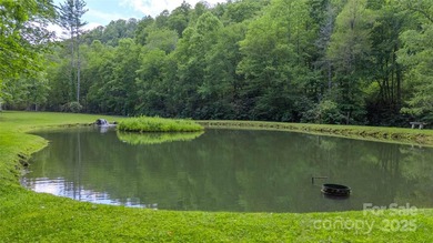 Located in the private, gated community of Mountain Brook - photo 4