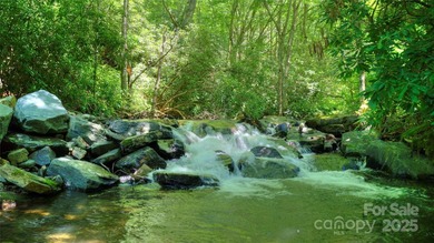Located in the private, gated community of Mountain Brook - photo 6
