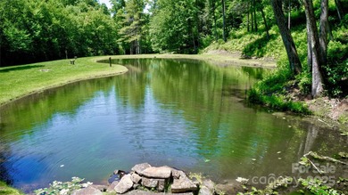 Located in the private, gated community of Mountain Brook - photo 7