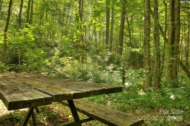 Located in the private, gated community of Mountain Brook - photo 8