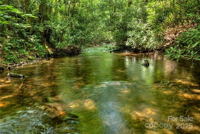 Located in the private, gated community of Mountain Brook - photo 9