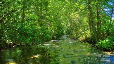 Located in the private, gated community of Mountain Brook - photo 10