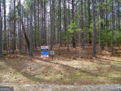 (private lake, pond, creek) Acreage For Sale in Elberton Georgia