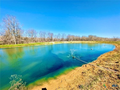 (private lake, pond, creek) Home Active Under Contract in Waelder Texas