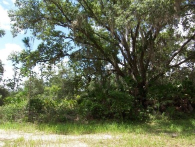 Lake Weohyakapka Lot For Sale in Indian Lake Estates Florida