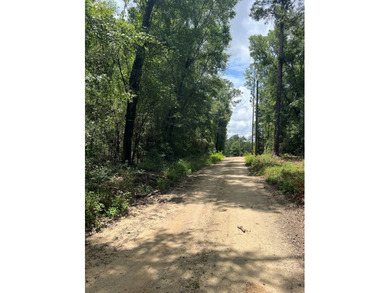 Beautiful wooded 0.77 acre lot located in Bonifay, FL in Dogwood - photo 2