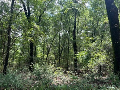 Beautiful wooded 0.77 acre lot located in Bonifay, FL in Dogwood - photo 3