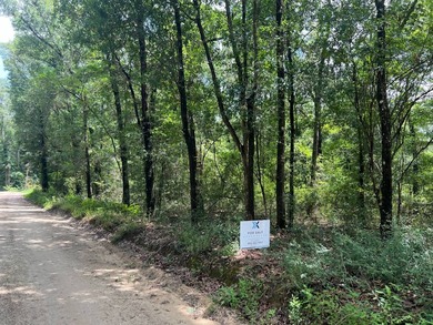 Beautiful wooded 0.77 acre lot located in Bonifay, FL in Dogwood - photo 4