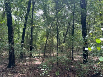 Beautiful wooded 0.77 acre lot located in Bonifay, FL in Dogwood - photo 6