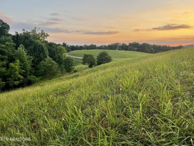 Norris Lake Lot For Sale in New Tazewell Tennessee