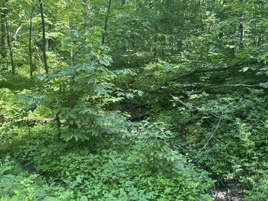 South Wea Creek Retreat is a 316.13 +/- acre blend of income and - photo 22