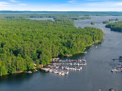 Deeded boat slip rights on Big Sebago Lake! Hop on your golf - photo 3