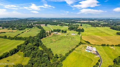 Welcome to one of East Tennessee's most extraordinary legacy - photo 13