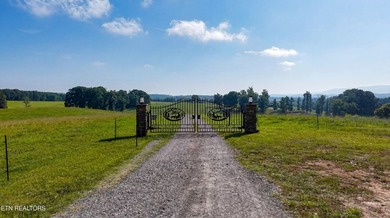 Welcome to one of East Tennessee's most extraordinary legacy - photo 17