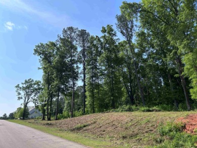 Lake Lot For Sale in Buckhead, Georgia