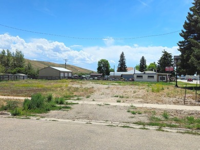 Prime Commercial Corner Lot | US Highway 30 Frontage | - photo 1