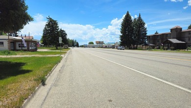 Prime Commercial Corner Lot | US Highway 30 Frontage | - photo 4