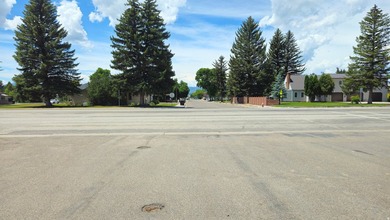 Prime Commercial Corner Lot | US Highway 30 Frontage | - photo 6