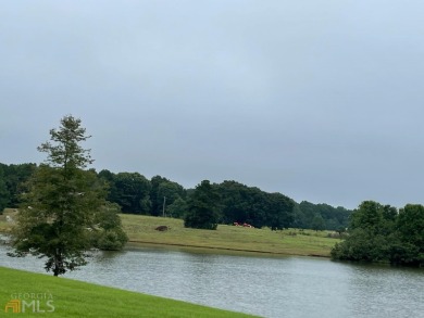 (private lake, pond, creek) Acreage For Sale in Social Circle Georgia