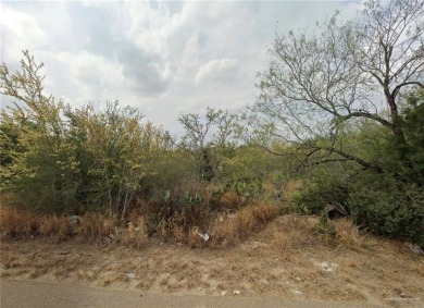 Lake Lot For Sale in Zapata, Texas
