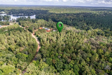 Waterfront Lot on Lake Sinclair! Enjoy over 125 feet of pristine - photo 5