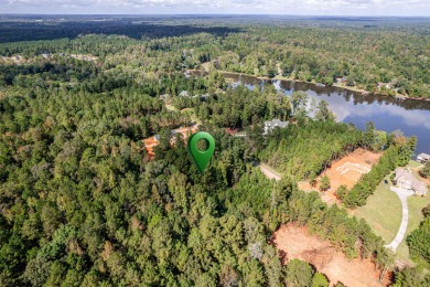 Waterfront Lot on Lake Sinclair! Enjoy over 125 feet of pristine - photo 8