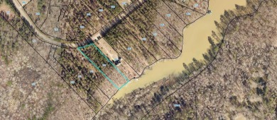Waterfront Lot on Lake Sinclair! Enjoy over 125 feet of pristine - photo 10