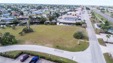 A rare corner lot located in Port Charlotte, close to hospitals - photo 4