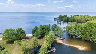 Lake Home For Sale in Eutawville, South Carolina