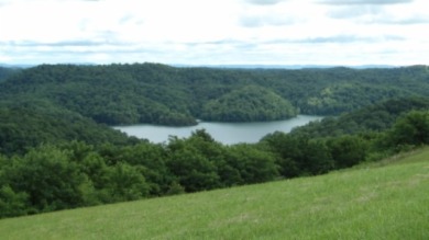 0.51 AC WITH YEAR AROUND DALE HOLLOW LAKE & MOUNTAIN VIEWS - photo 10