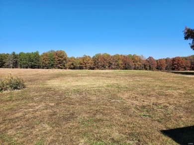 (private lake, pond, creek) Home For Sale in Grandin Missouri