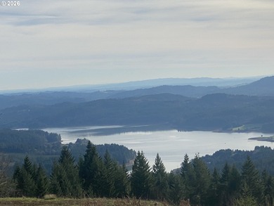 (private lake, pond, coastal) Acreage For Sale in Gaston Oregon