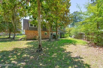 No HOA, nearly 1/2 acre, 4 bedrooms, and a one-year home - photo 11