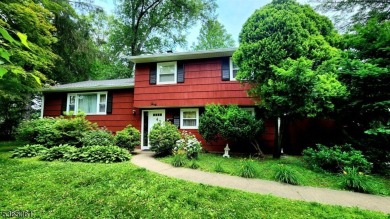 Lake Home For Sale in Parsippany-Troy Hills Twp., New Jersey