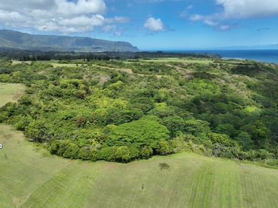 Oceanside Ranch 54 is a spectacular 4-acre property within the - photo 11