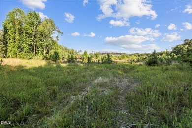23 Acres in rural Johnston County, just 40 minutes from downtown - photo 4