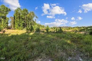 23 Acres in rural Johnston County, just 40 minutes from downtown - photo 5