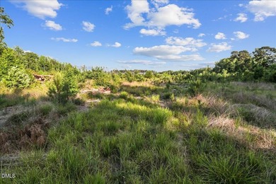 23 Acres in rural Johnston County, just 40 minutes from downtown - photo 6