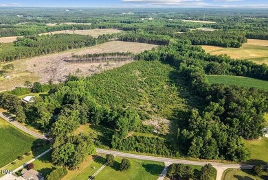 23 Acres in rural Johnston County, just 40 minutes from downtown - photo 7