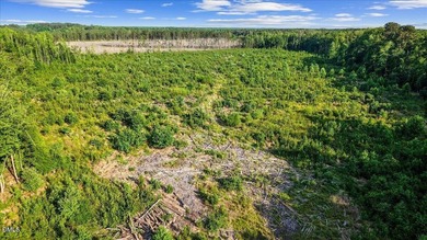23 Acres in rural Johnston County, just 40 minutes from downtown - photo 10