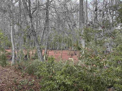 Highly sought Myrtle Beach RV resort. You own land. Low HOA - photo 13
