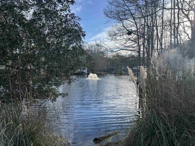 Highly sought Myrtle Beach RV resort. You own land. Low HOA - photo 18