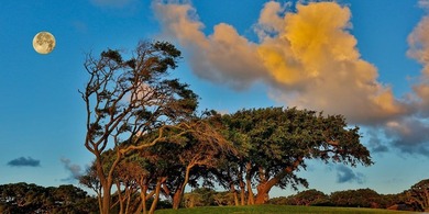 Royal Oaks is a bay-front community with - photo 33