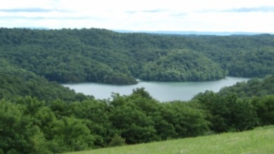 0.51 AC WITH YEAR AROUND DALE HOLLOW LAKE & MOUNTAIN VIEWS - photo 8