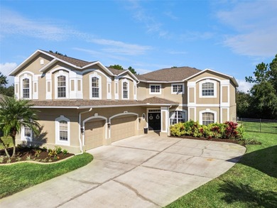 Lake Hart - Orange County Home For Sale in Orlando Florida