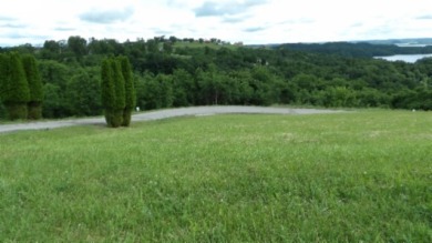 0.51 AC WITH YEAR AROUND DALE HOLLOW LAKE & MOUNTAIN VIEWS - photo 5