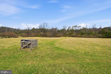 Hunt! Fish! Build! Rent! Develop! Divide! Homestead! Yes, the - photo 11
