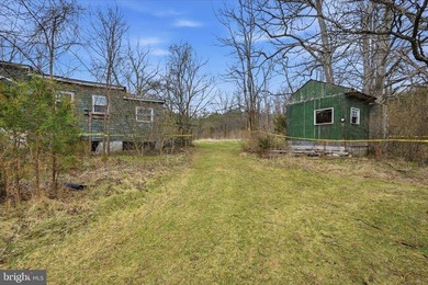 Hunt! Fish! Build! Rent! Develop! Divide! Homestead! Yes, the - photo 15