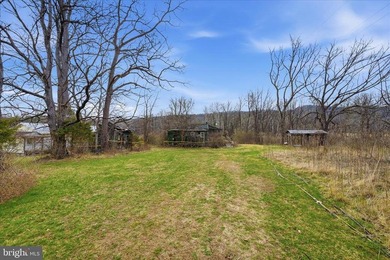 Hunt! Fish! Build! Rent! Develop! Divide! Homestead! Yes, the - photo 16